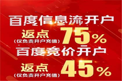 竞价广告的投放技巧与网络推广的实践